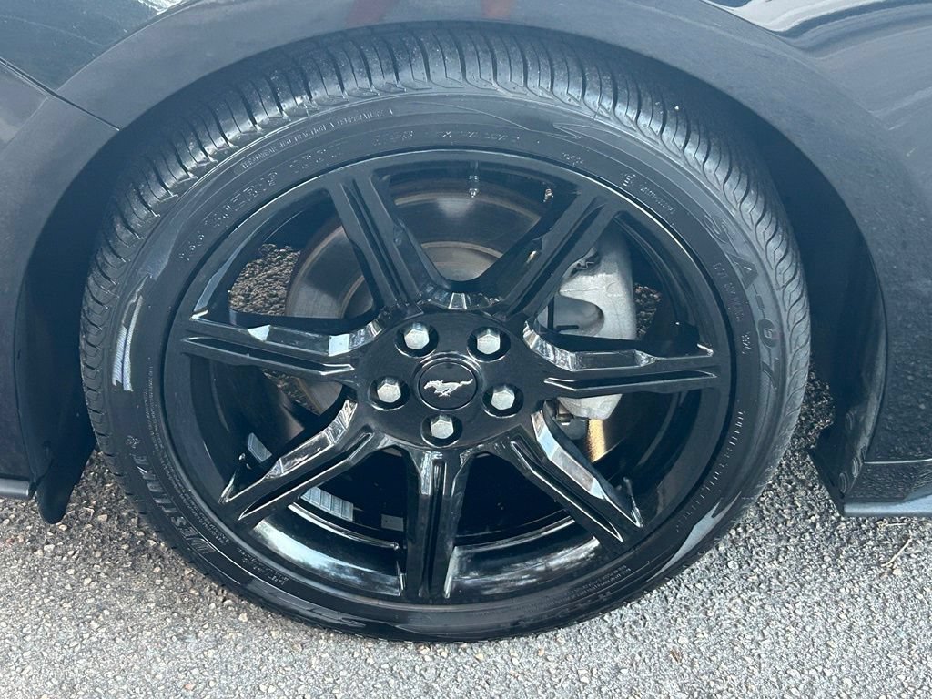 Certified 2019 Ford Mustang Premium w/ Equipment Group 201A RWD image 18