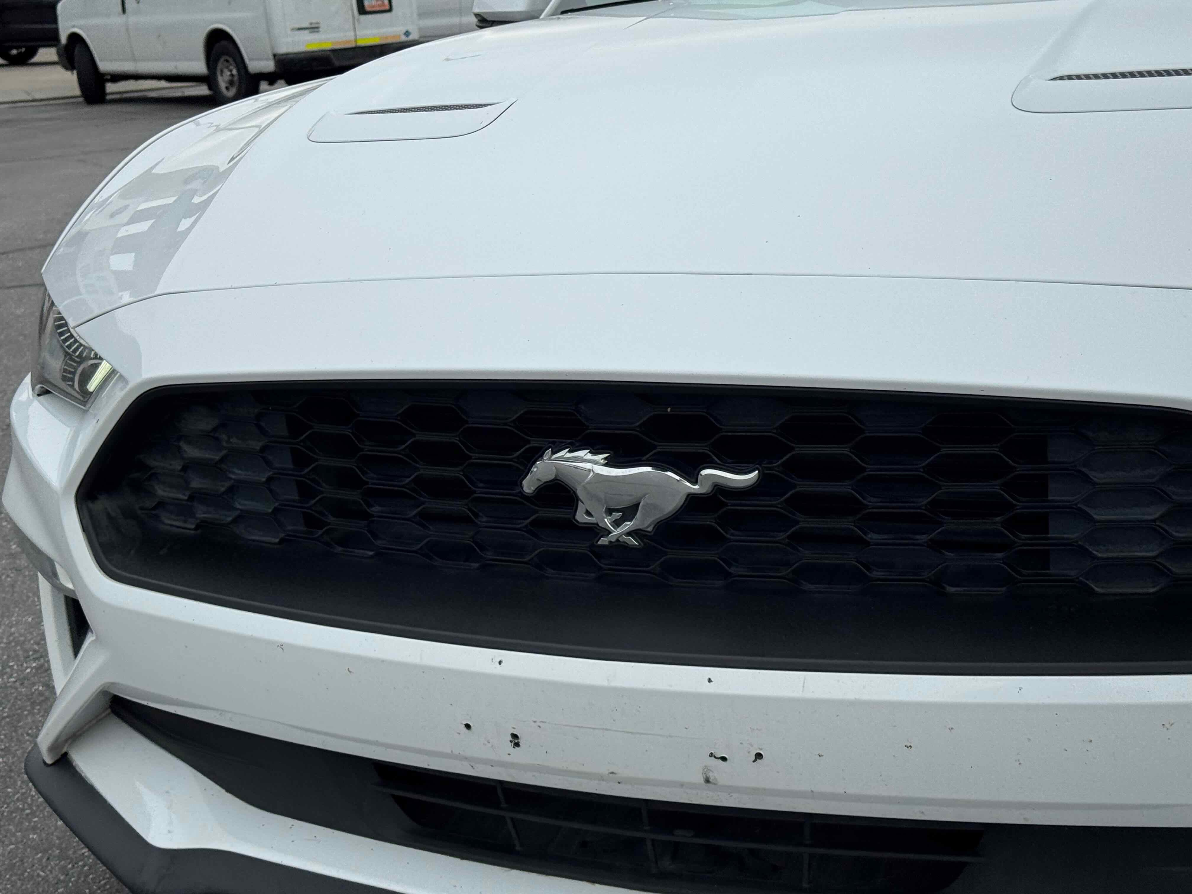 Certified 2018 Ford Mustang Premium w/ Equipment Group 201A image 13