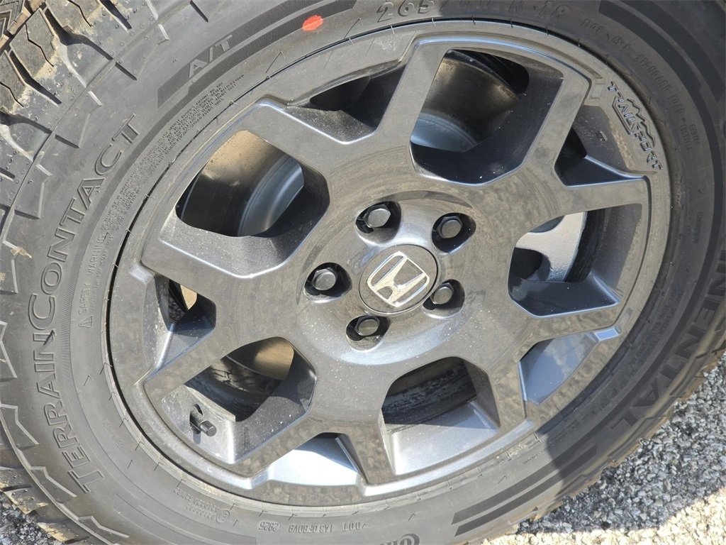 New 2025 Honda Pilot TrailSport image 11