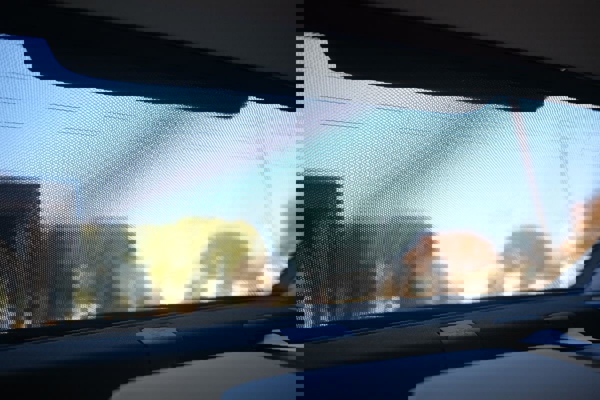 Used 2023 Mercedes-Benz S 580 4MATIC Sedan image 42