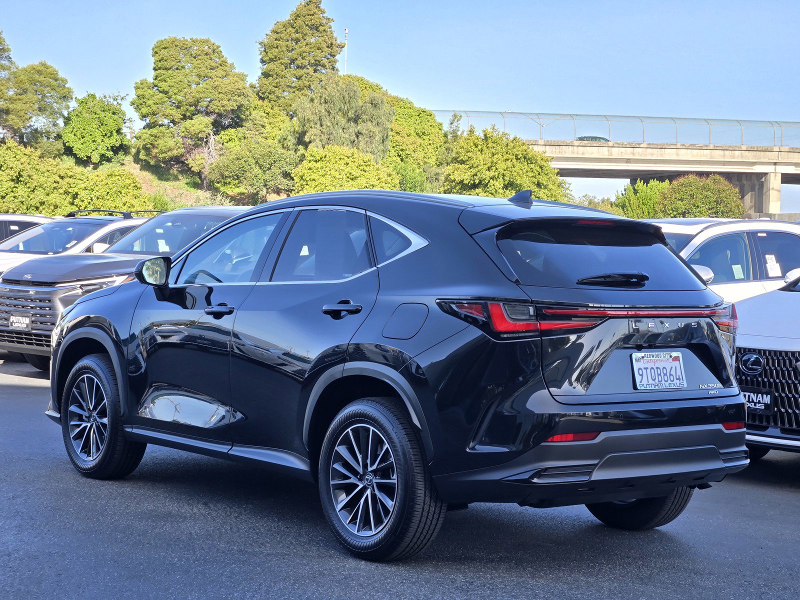 Used 2025 Lexus NX 350h AWD w/ Cold Area Package image 6