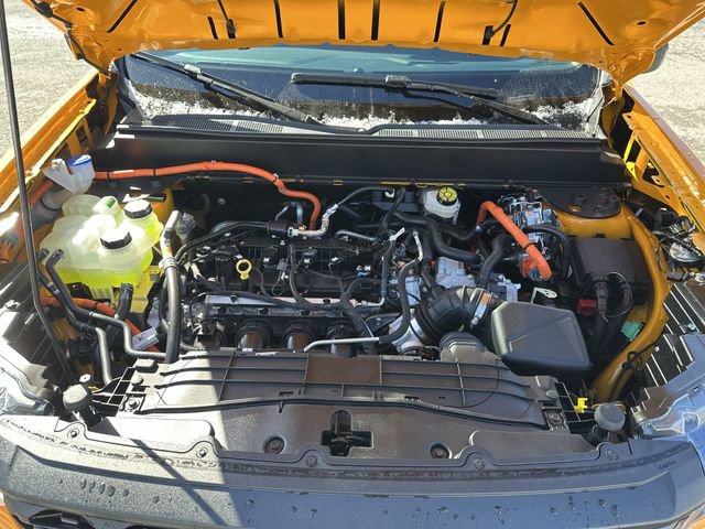 New 2026 Ford Maverick XLT w/ Equipment Group 301A image 20