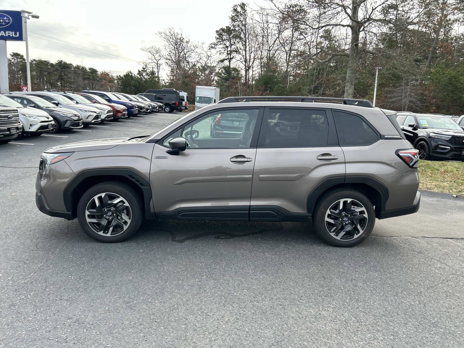 Certified 2025 Subaru Forester Premium image 6