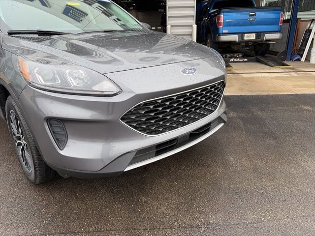 Used 2022 Ford Escape SE w/ Cold Weather Package image 5