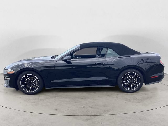 Used 2022 Ford Mustang Premium RWD image 2