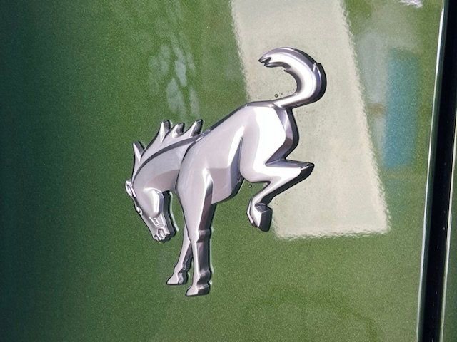 Used 2024 Ford Bronco Badlands image 31