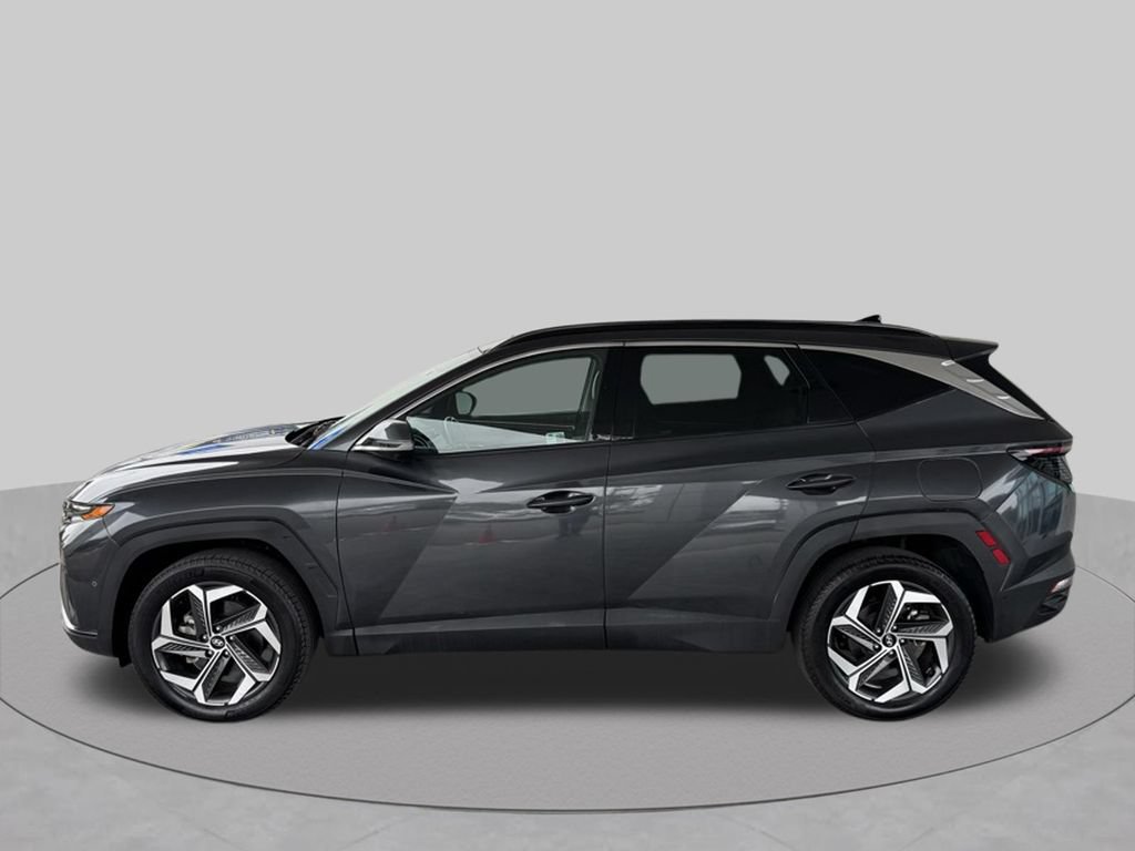 Used 2024 Hyundai Tucson Limited AWD/4WD image 5