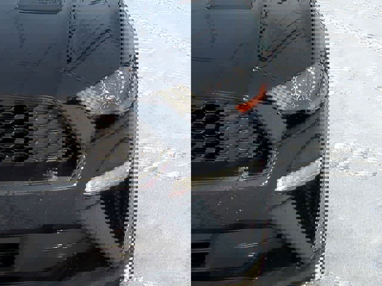 Used 2018 Ford Mustang Coupe image 10