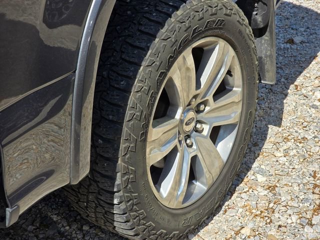 Used 2019 Ford F150 Platinum w/ Equipment Group 701A Luxury image 8