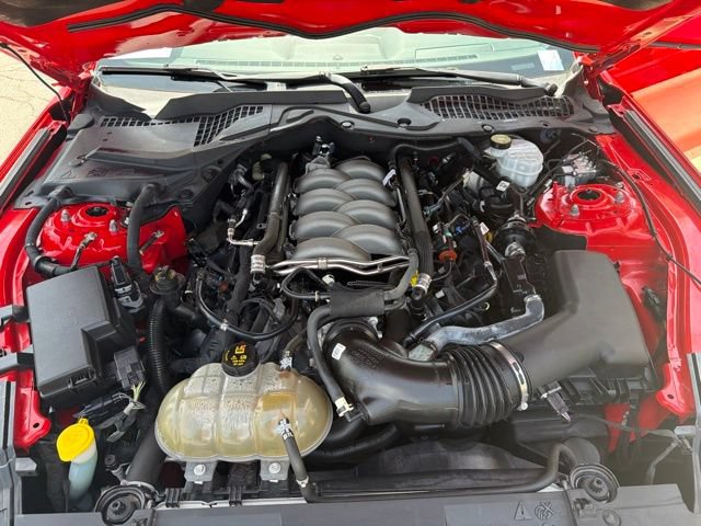 Used 2019 Ford Mustang GT w/ Equipment Group 301A RWD image 12