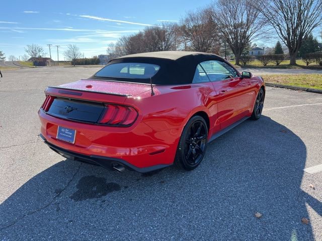 Certified 2019 Ford Mustang Premium w/ Equipment Group 201A image 10