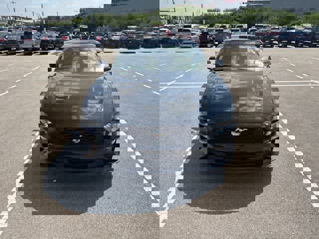 Used 2023 Ford Mustang Coupe w/ Equipment Group 101A RWD image 8