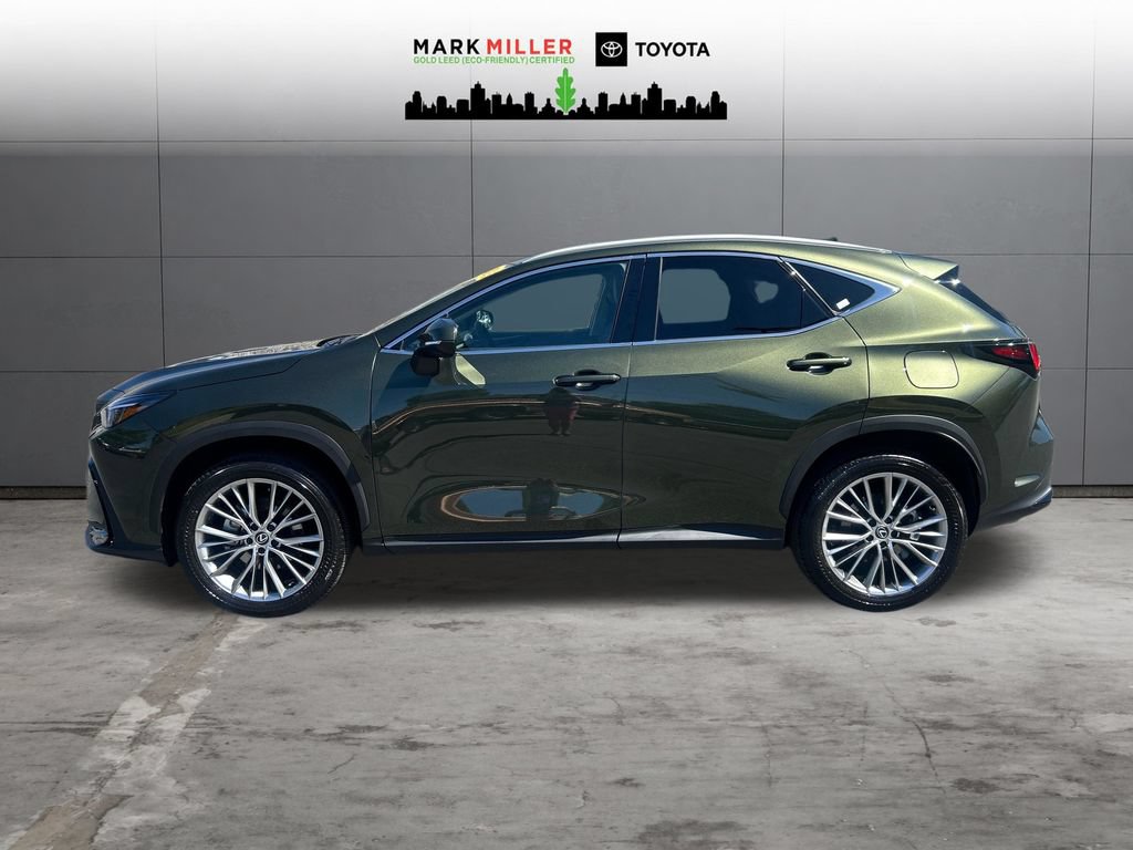 Used 2025 Lexus NX 350h AWD w/ Cold Area Package image 2