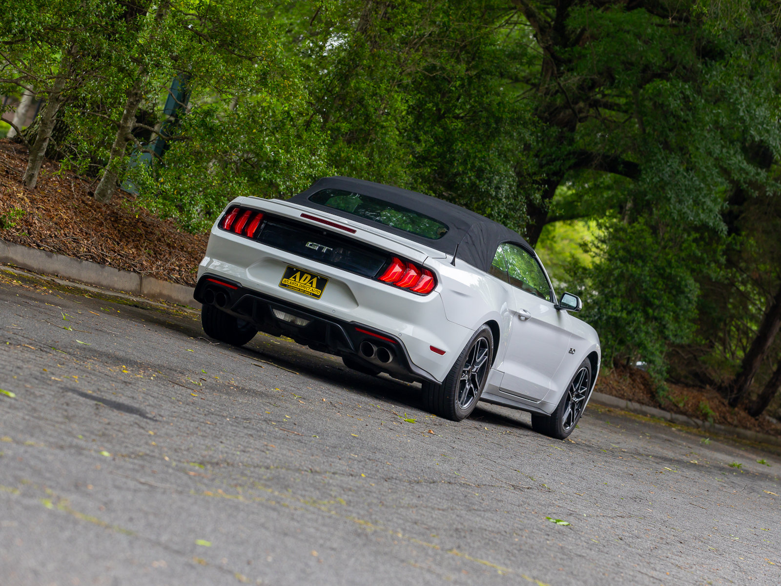 Used 2019 Ford Mustang GT Premium w/ Equipment Group 401A RWD image 42