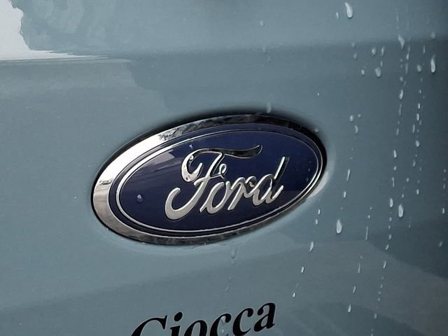 Used 2022 Ford Bronco Badlands image 30