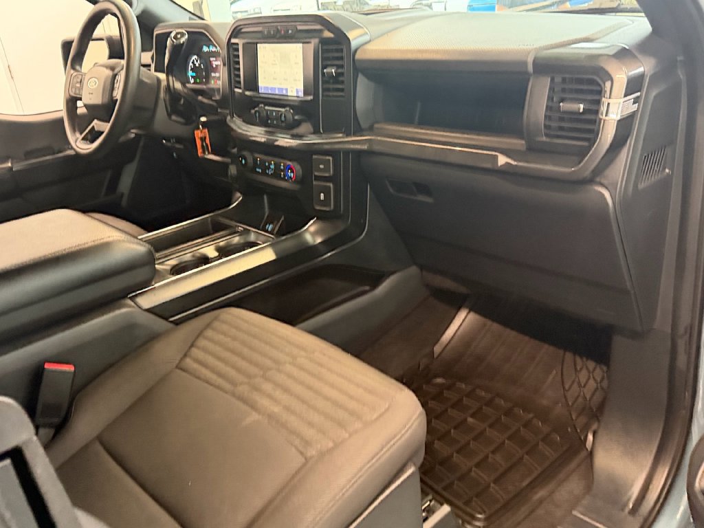 Used 2023 Ford F150 XL w/ STX Appearance Package RWD image 11