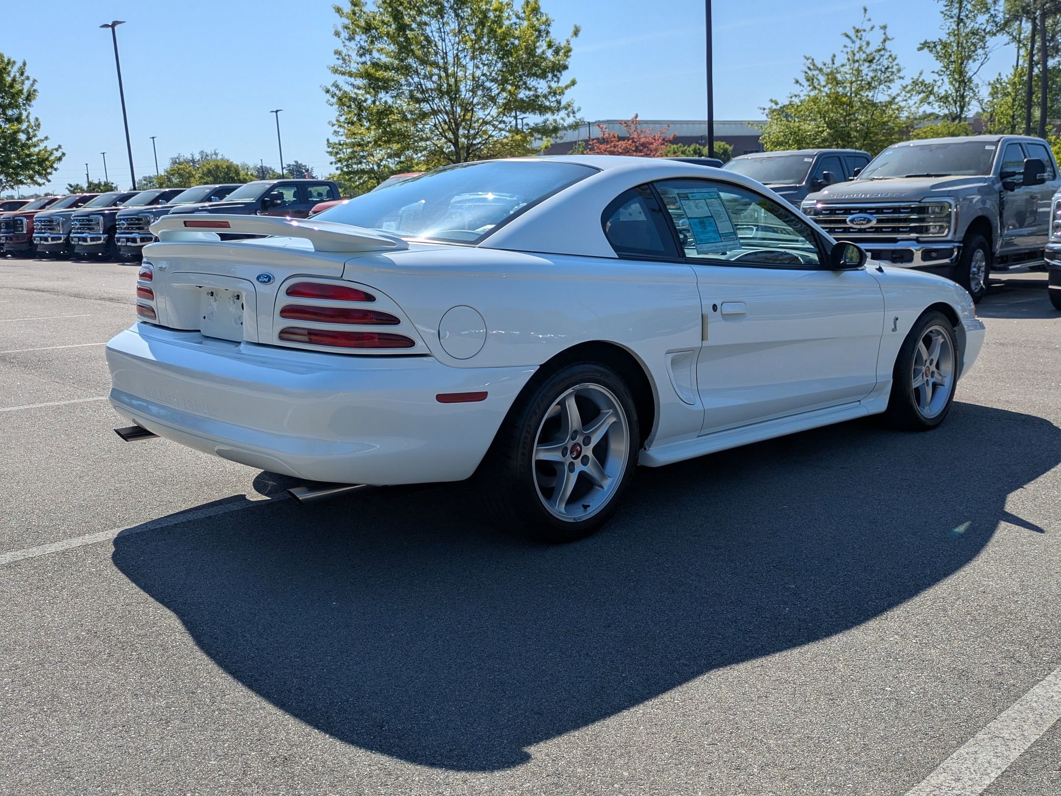 Used 1995 Ford Mustang Cobra R image 4