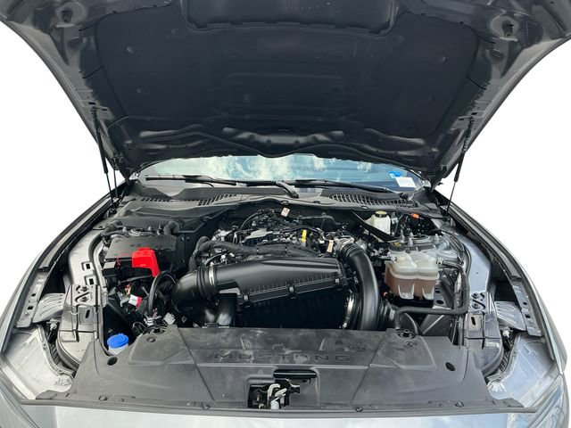 Certified 2024 Ford Mustang Premium image 20
