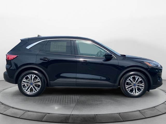 Used 2022 Ford Escape SEL FWD image 6