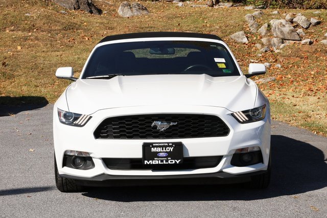 Used 2015 Ford Mustang Convertible w/ Equipment Group 051A image 5