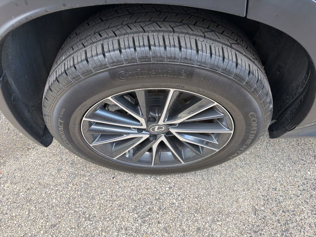 Used 2023 Lexus NX 350 AWD w/ Cold Area Package image 5