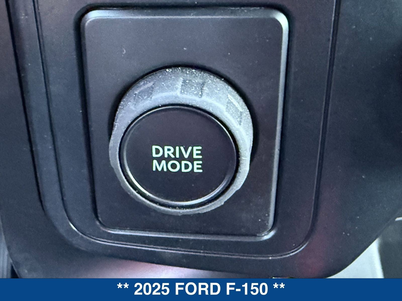 New 2025 Ford F150 STX RWD image 31