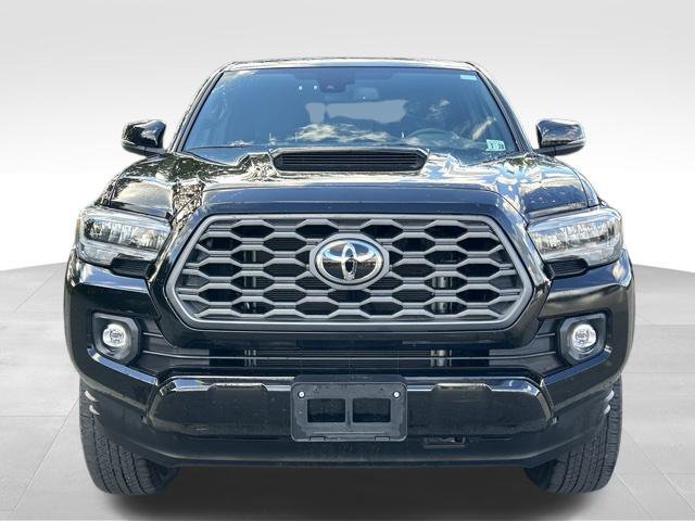 Used 2023 Toyota Tacoma TRD Sport w/ Black Out Package (TMS) AWD/4WD image 8