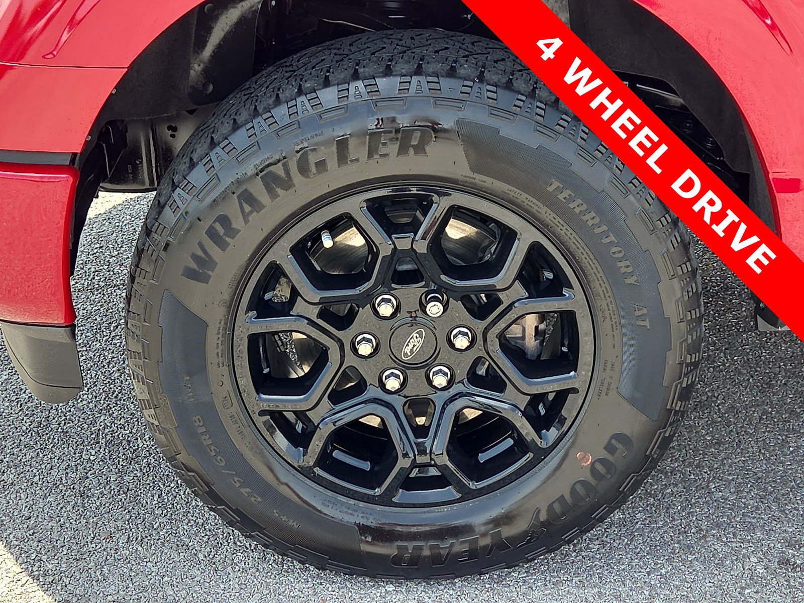 Used 2024 Ford F150 XLT w/ XLT Black Appearance Package AWD/4WD image 7