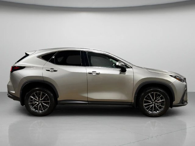 Used 2026 Lexus NX 350 AWD w/ Cold Area Package image 2