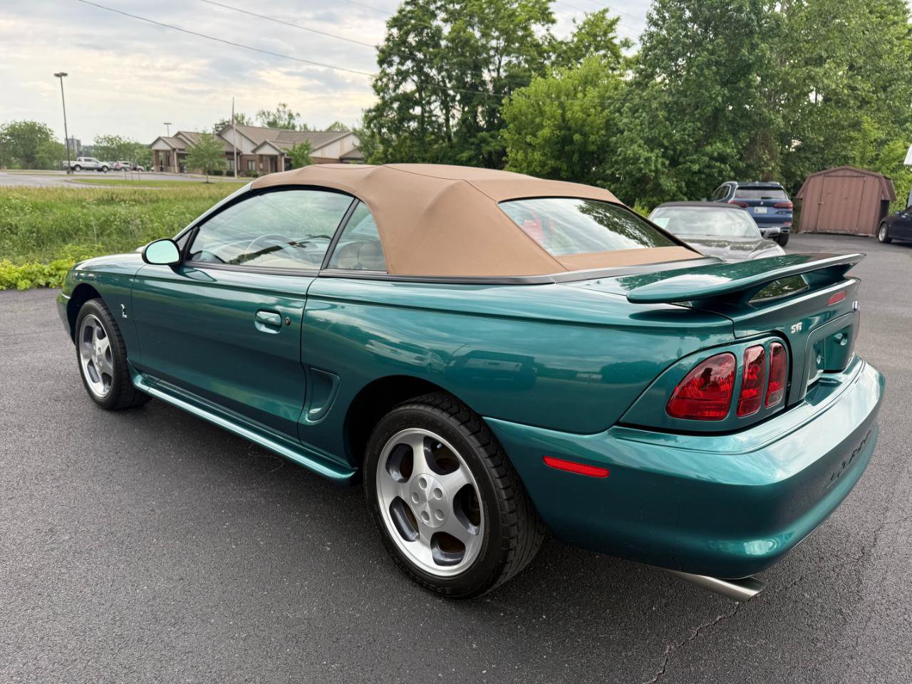 Used 1997 Ford Mustang Cobra RWD image 7
