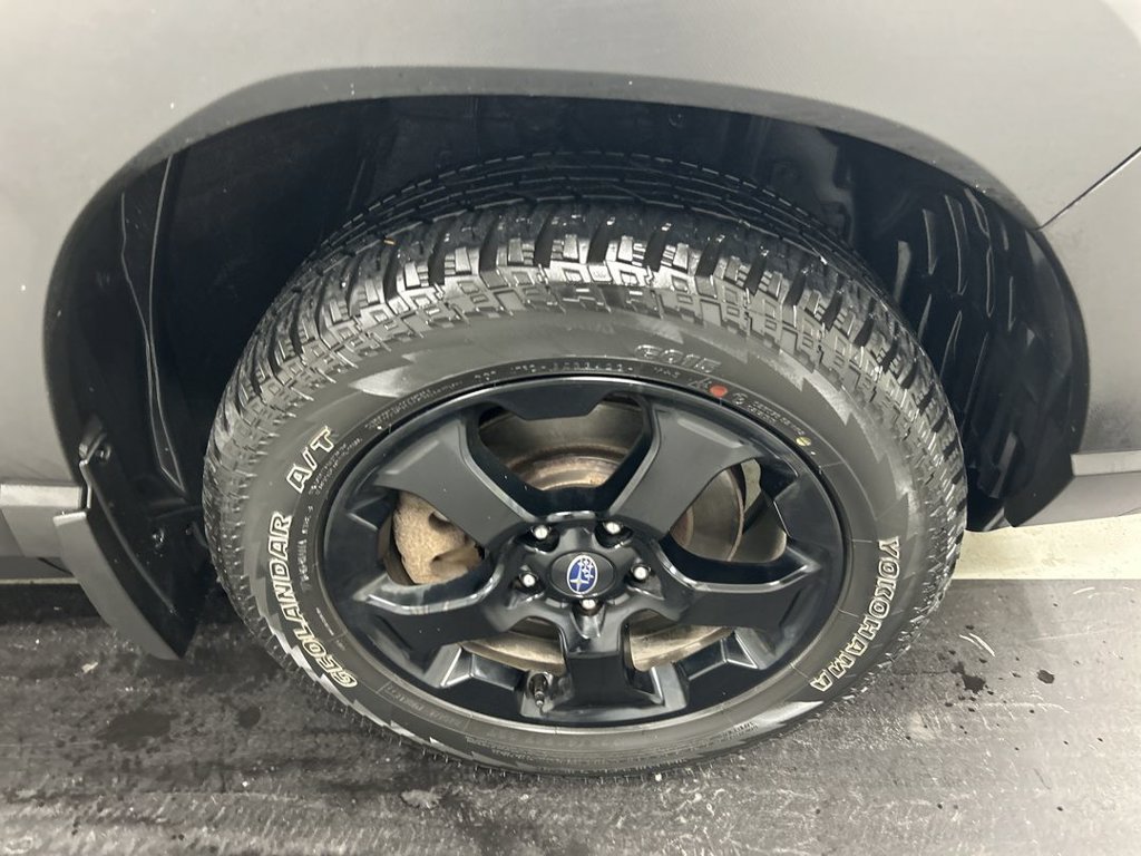 Used 2024 Subaru Forester Wilderness AWD/4WD image 8