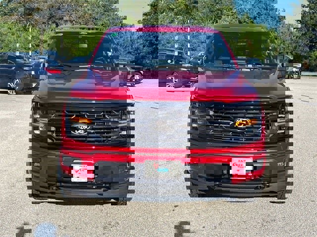 New 2025 Ford F150 XLT w/ Equipment Group 302A MID image 8