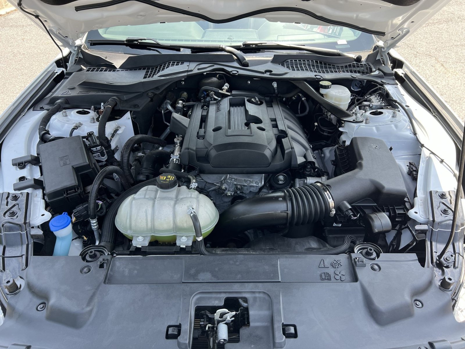 Used 2022 Ford Mustang Premium w/ Equipment Group 201A RWD image 27