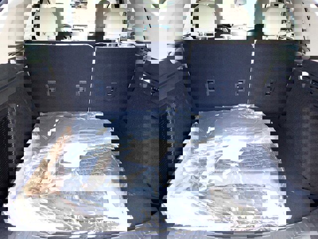 New 2026 Lincoln Corsair Premiere image 5