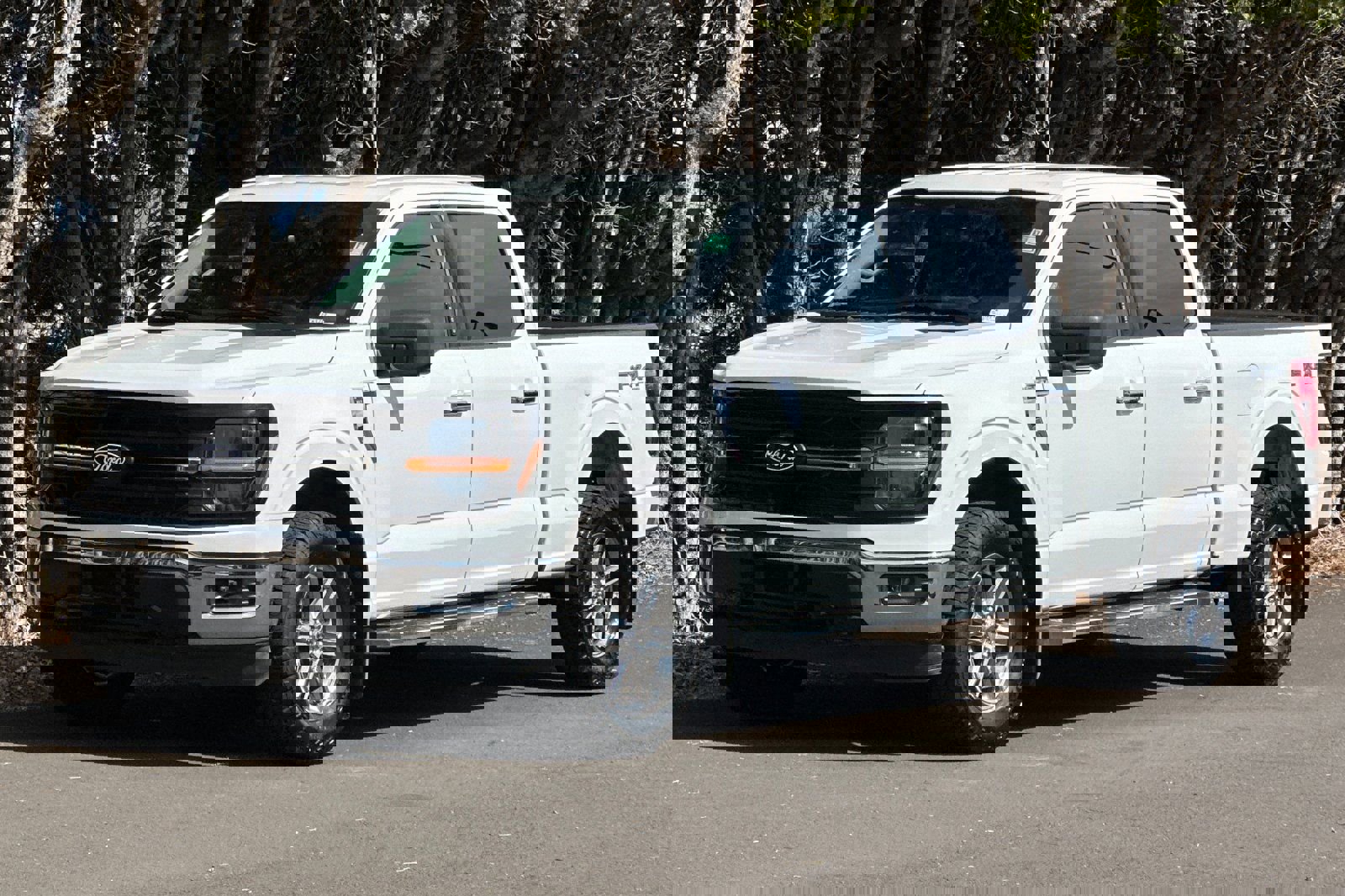 Used 2024 Ford F150 XLT w/ FX4 Off-Road Package image 8