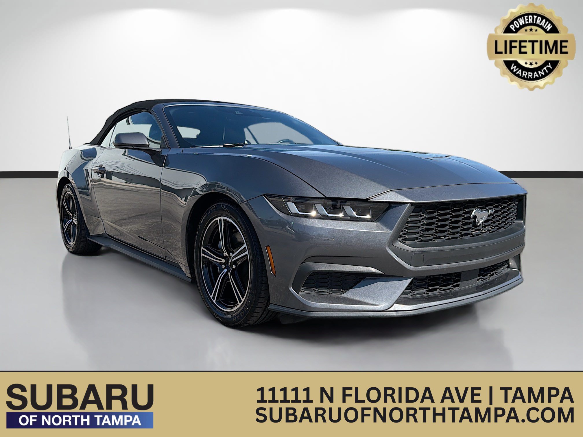 Used 2024 Ford Mustang Premium RWD image 1