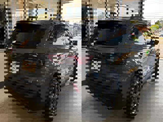 New 2025 Ford Escape ST-Line w/ Cold Weather Package image 6