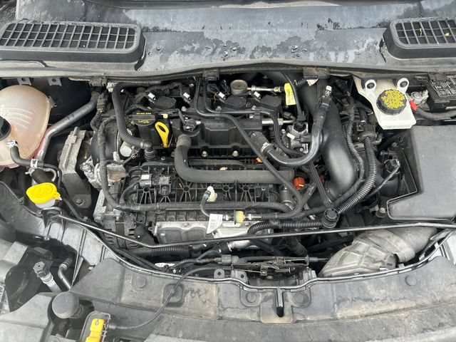 Used 2019 Ford Escape SE AWD/4WD image 21