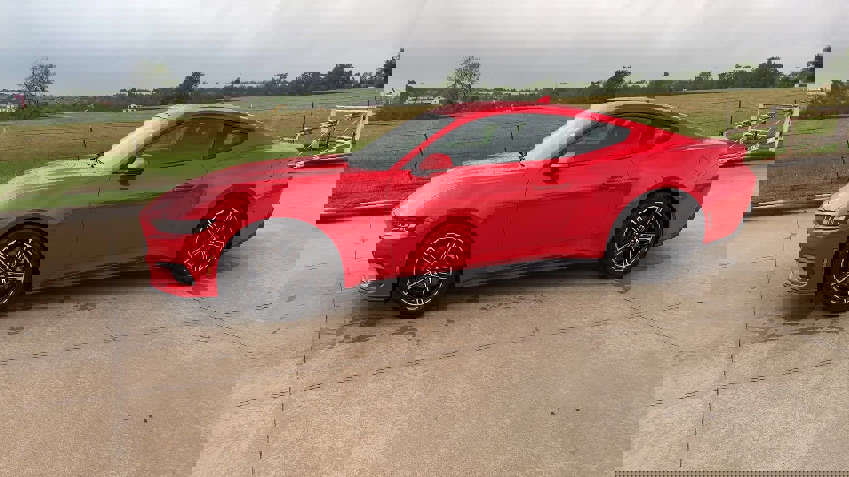 Used 2024 Ford Mustang Coupe image 5