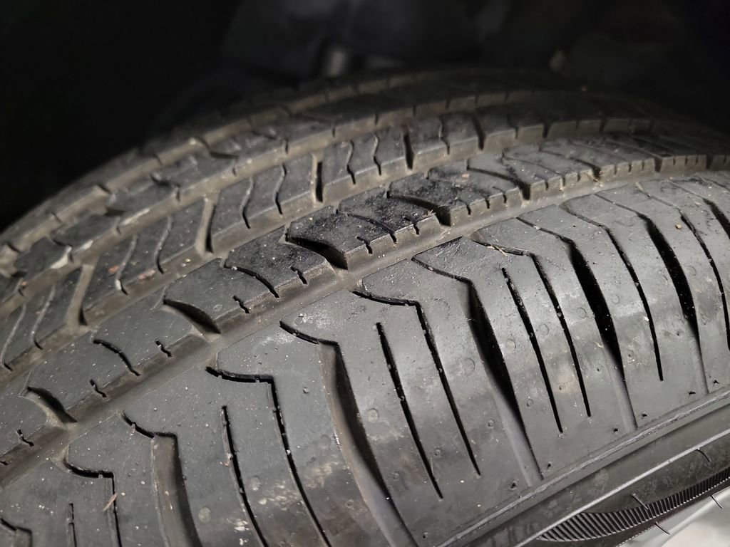 Used 2019 Ford EcoSport SE image 12