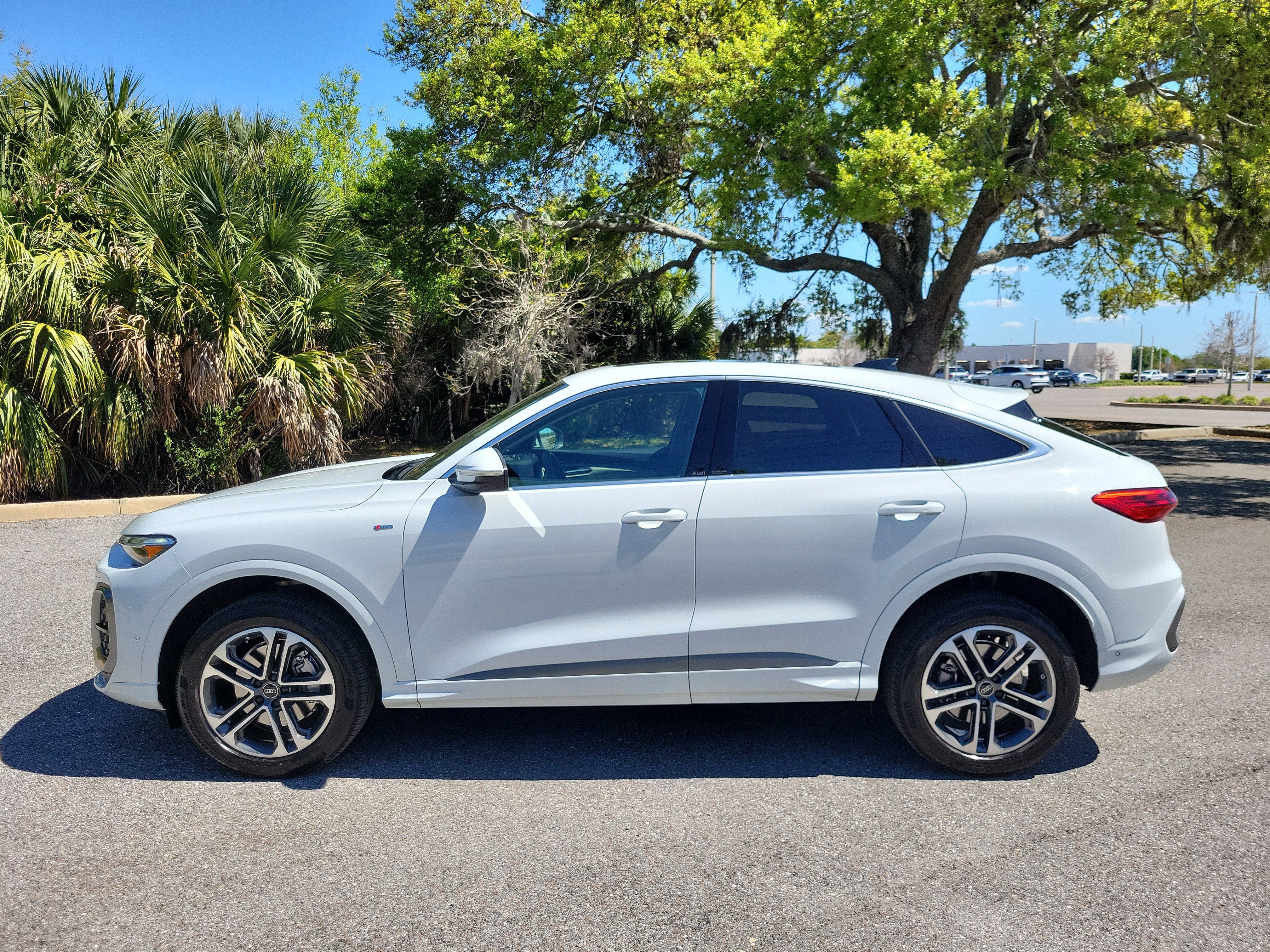 Used 2025 Audi Q5 Premium Plus w/ Premium Plus image 8