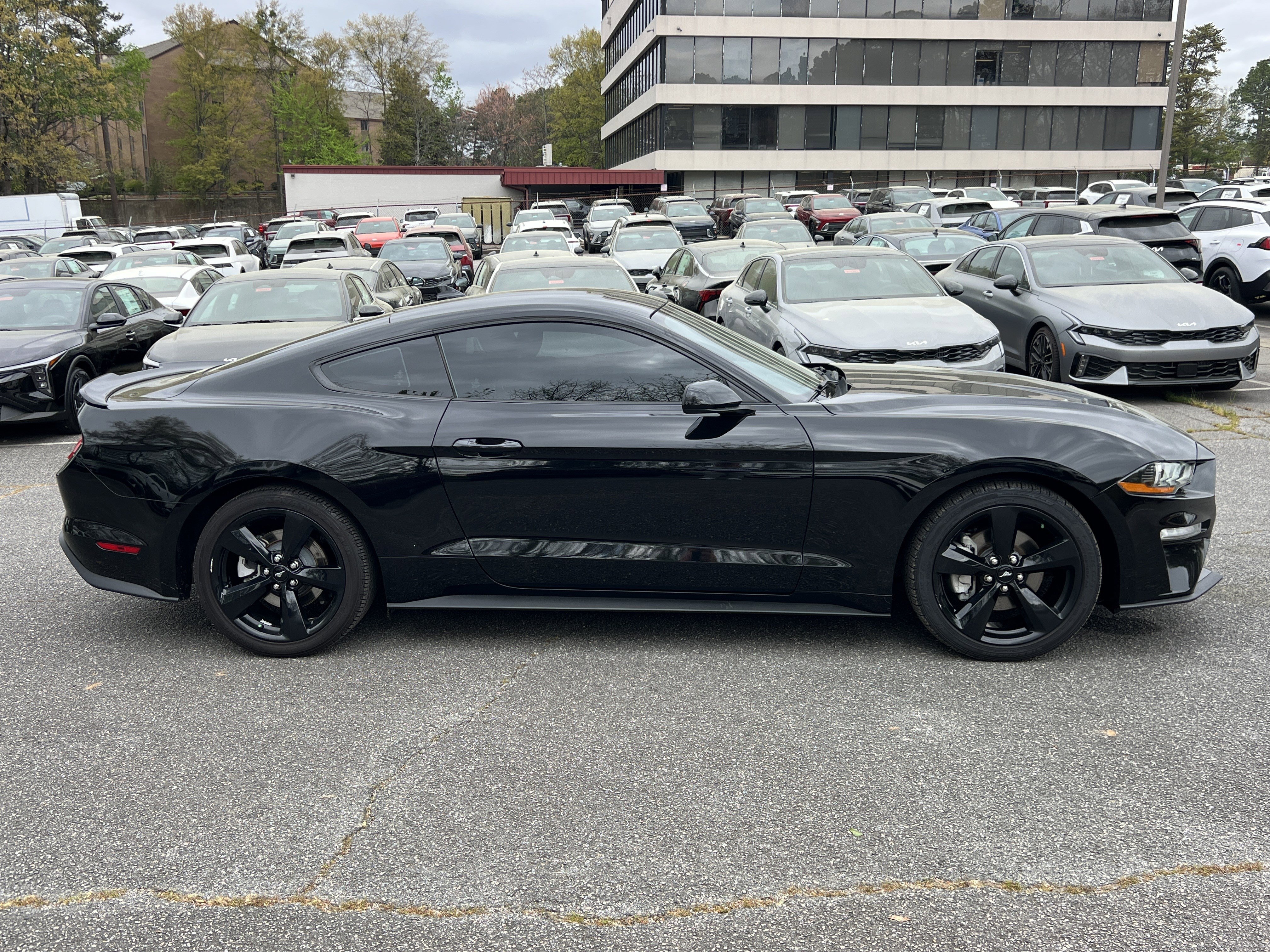 Used 2021 Ford Mustang Coupe w/ Black Accent Package image 8