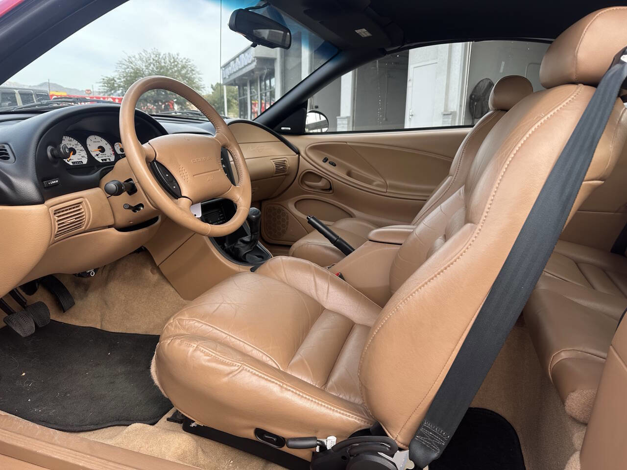 Used 1998 Ford Mustang Cobra image 6