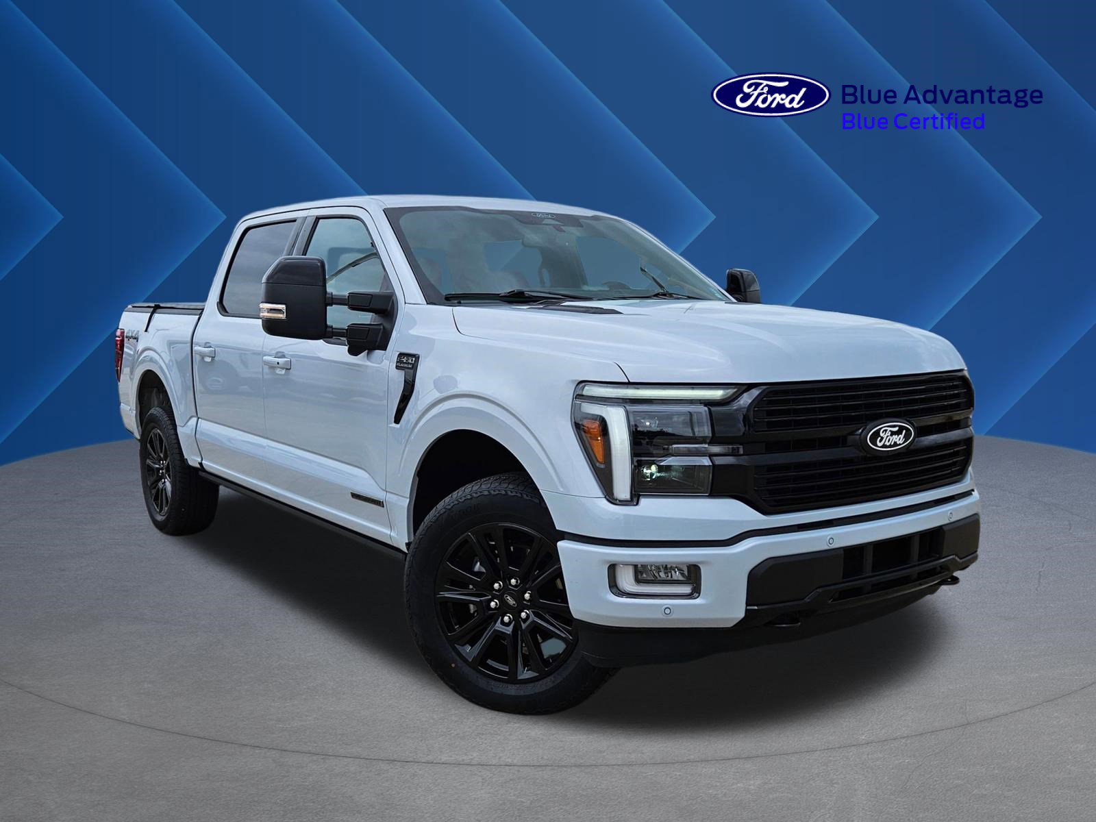 Used 2025 Ford F150 Platinum AWD/4WD image 1