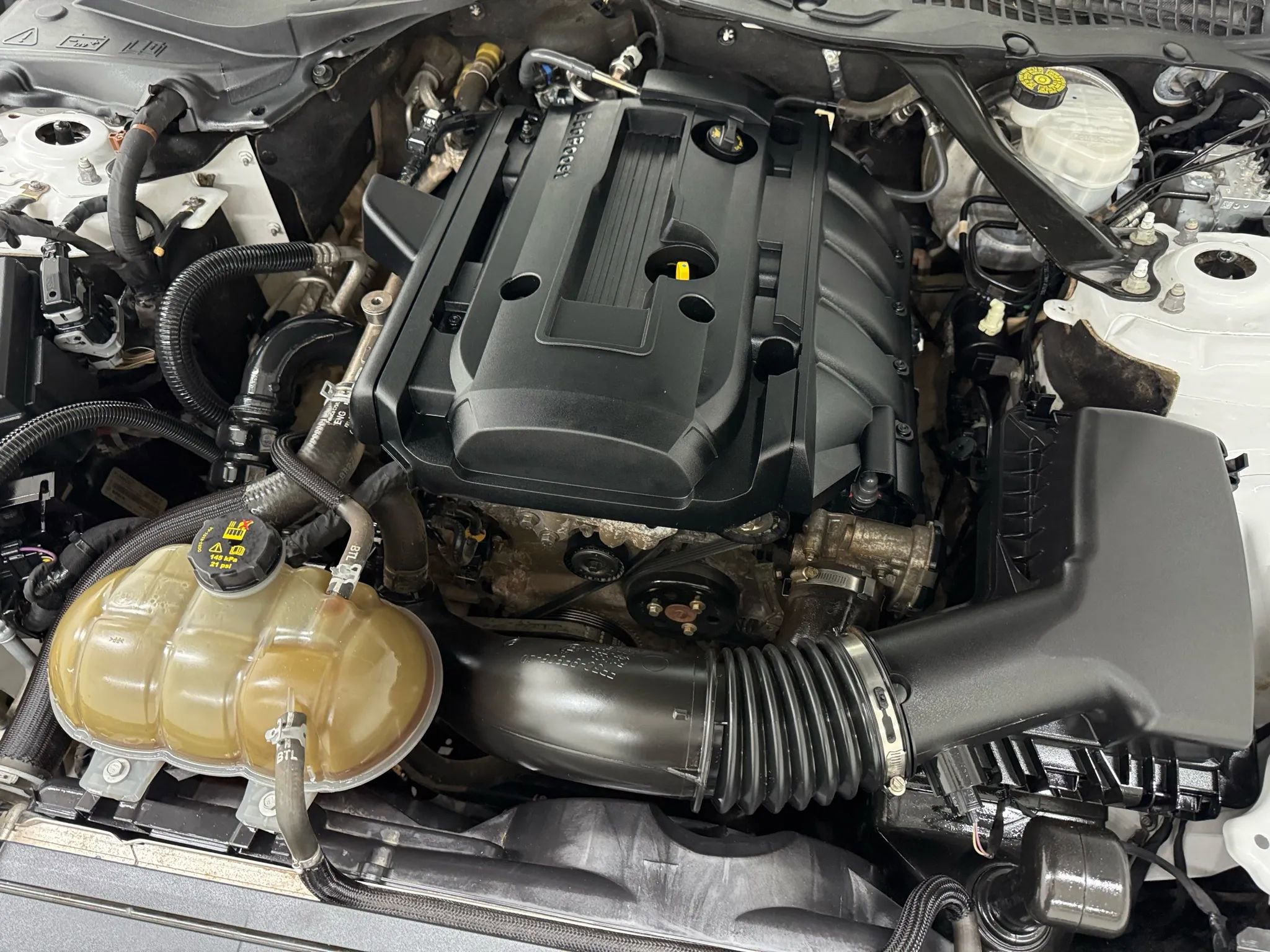 Used 2019 Ford Mustang Premium image 42