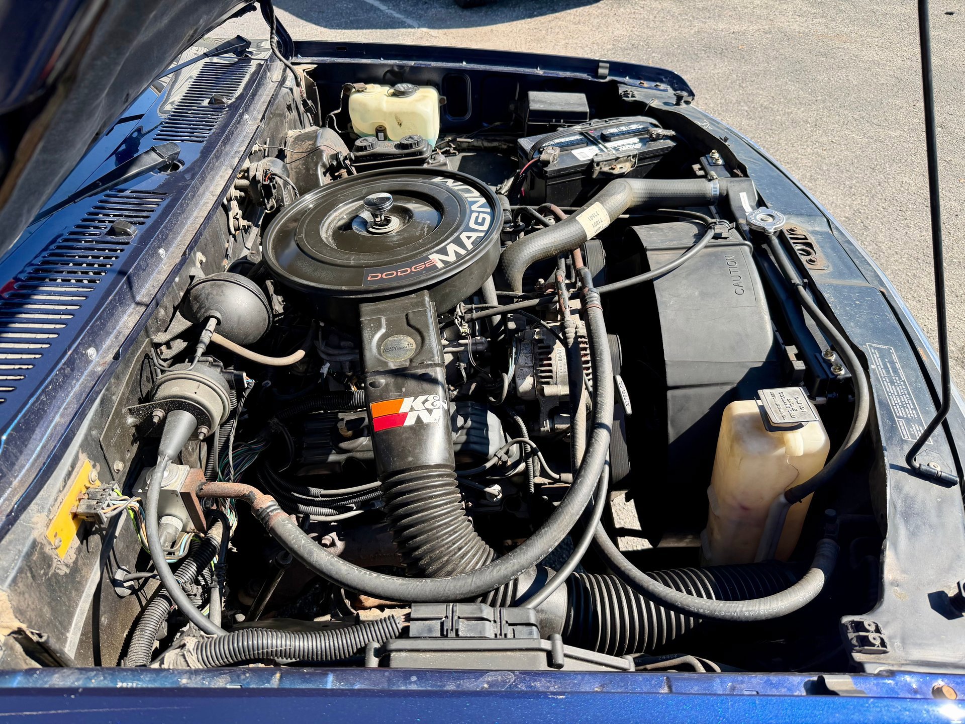 Used 1993 Dodge Dakota 2WD Club Cab image 58