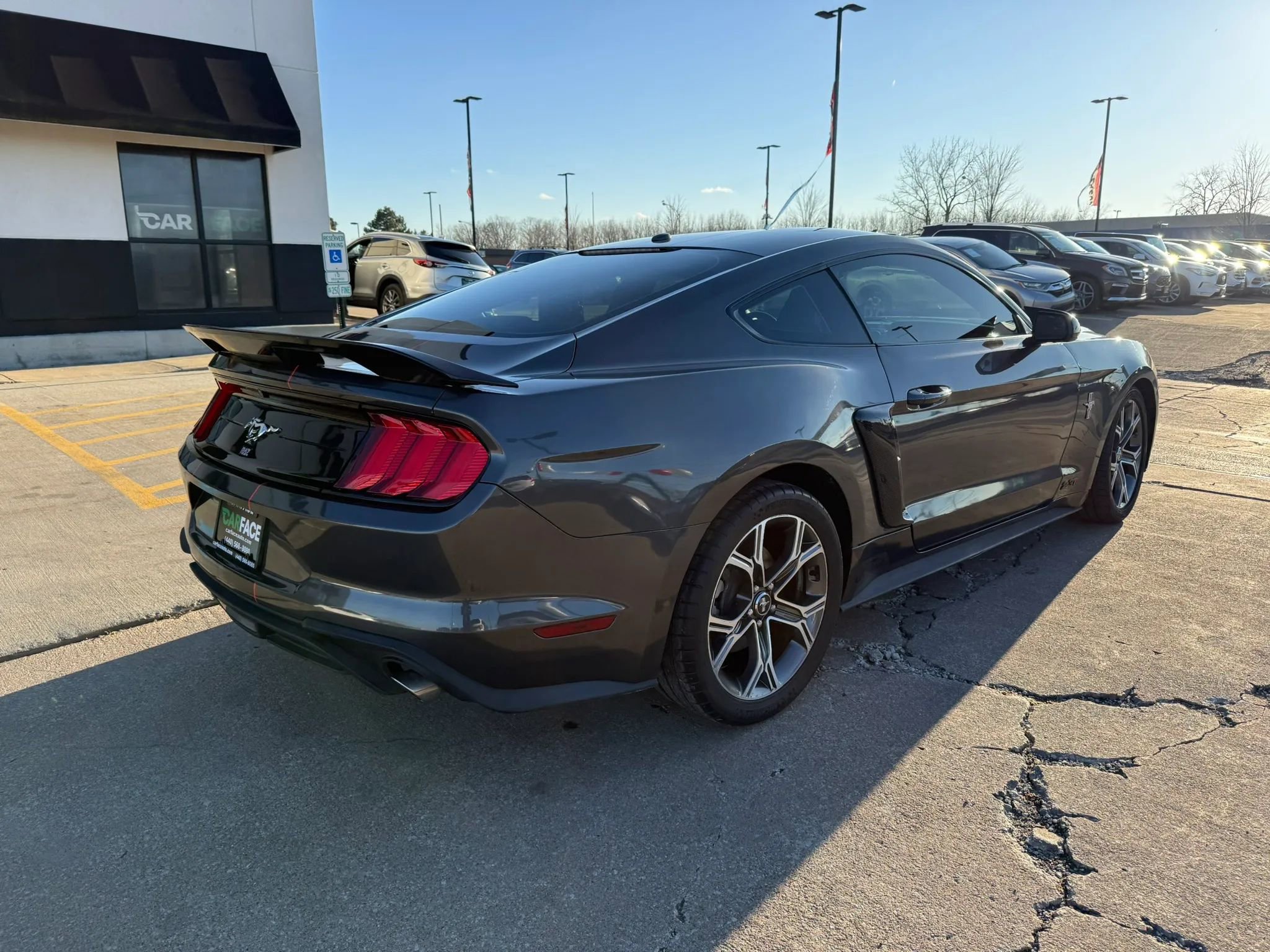 Used 2019 Ford Mustang Coupe RWD image 14