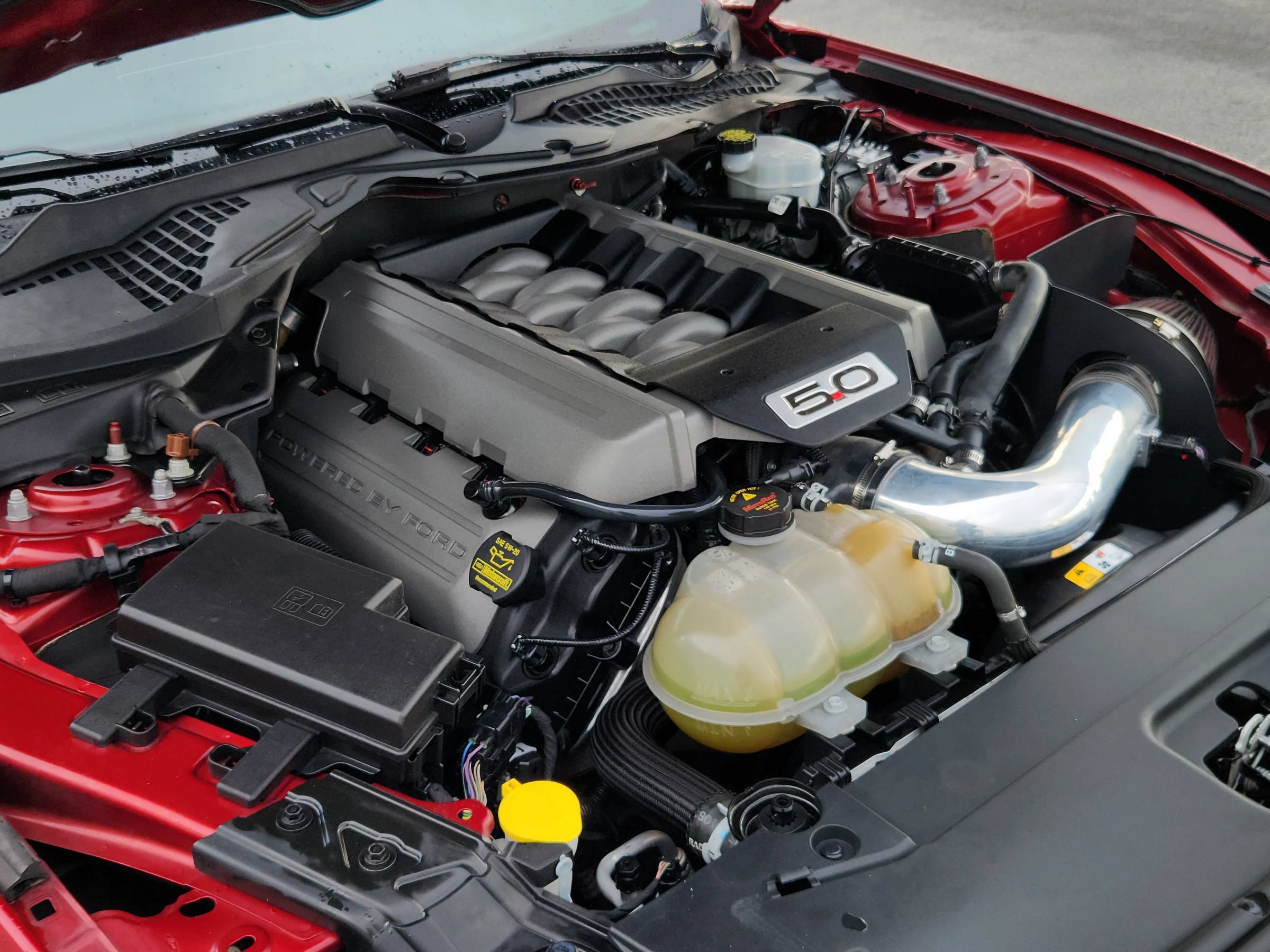 Used 2015 Ford Mustang GT Premium w/ Equipment Group 401A RWD image 19