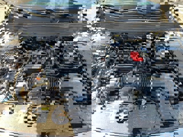 Certified 2020 Honda Accord Sport image 5