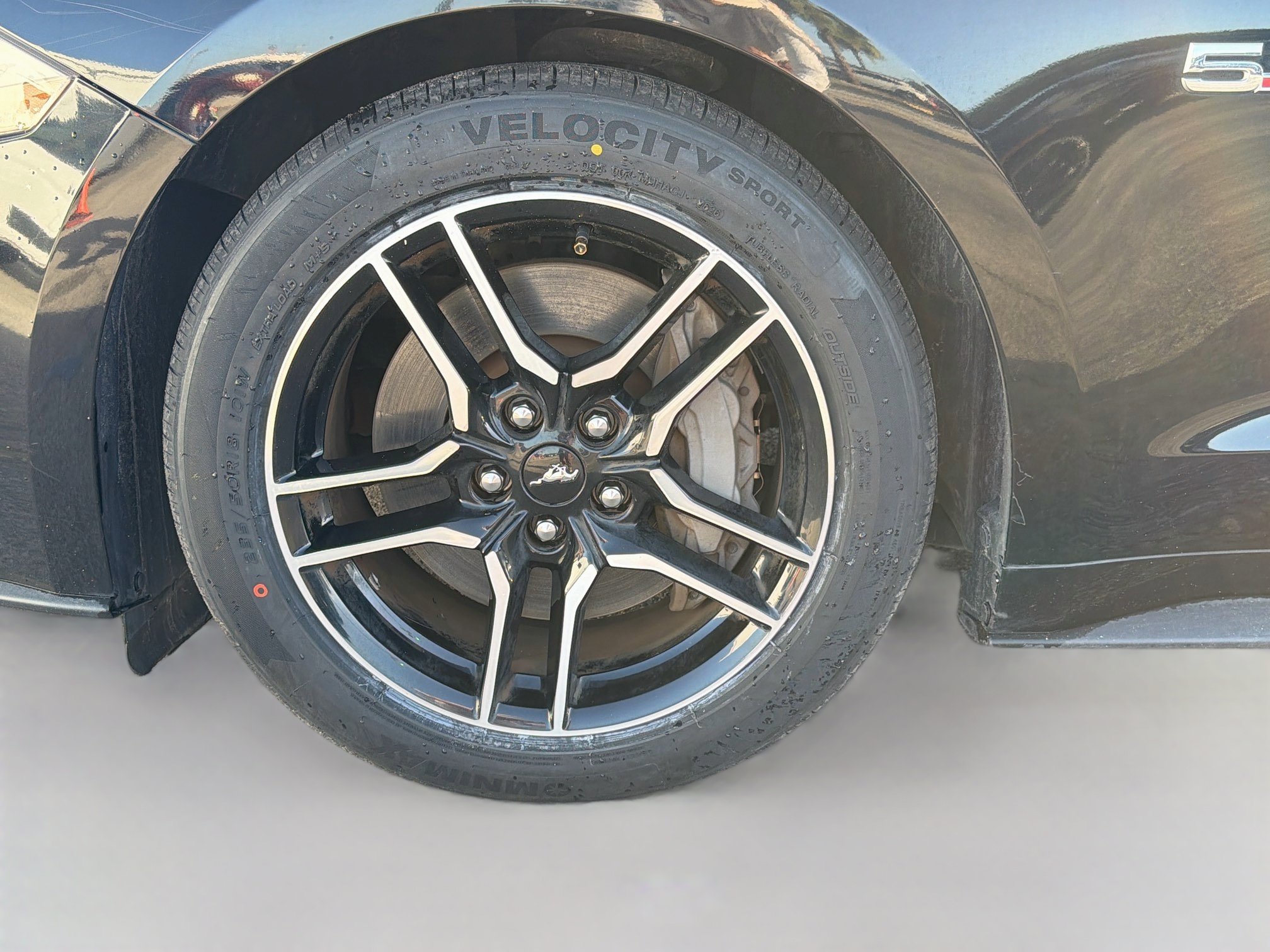 Used 2019 Ford Mustang GT Premium RWD image 39